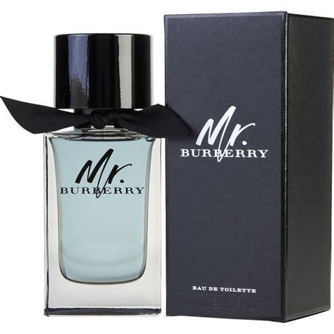 Mr. Burberry Eau de Toilette 100 ml (100ml) 